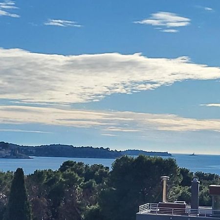 Villa Salvia Rooms And Apartments Rovinj Exterior photo