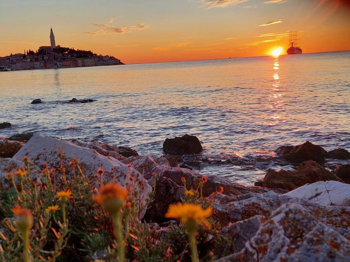 Villa Salvia Rooms And Apartments Rovinj Exterior photo
