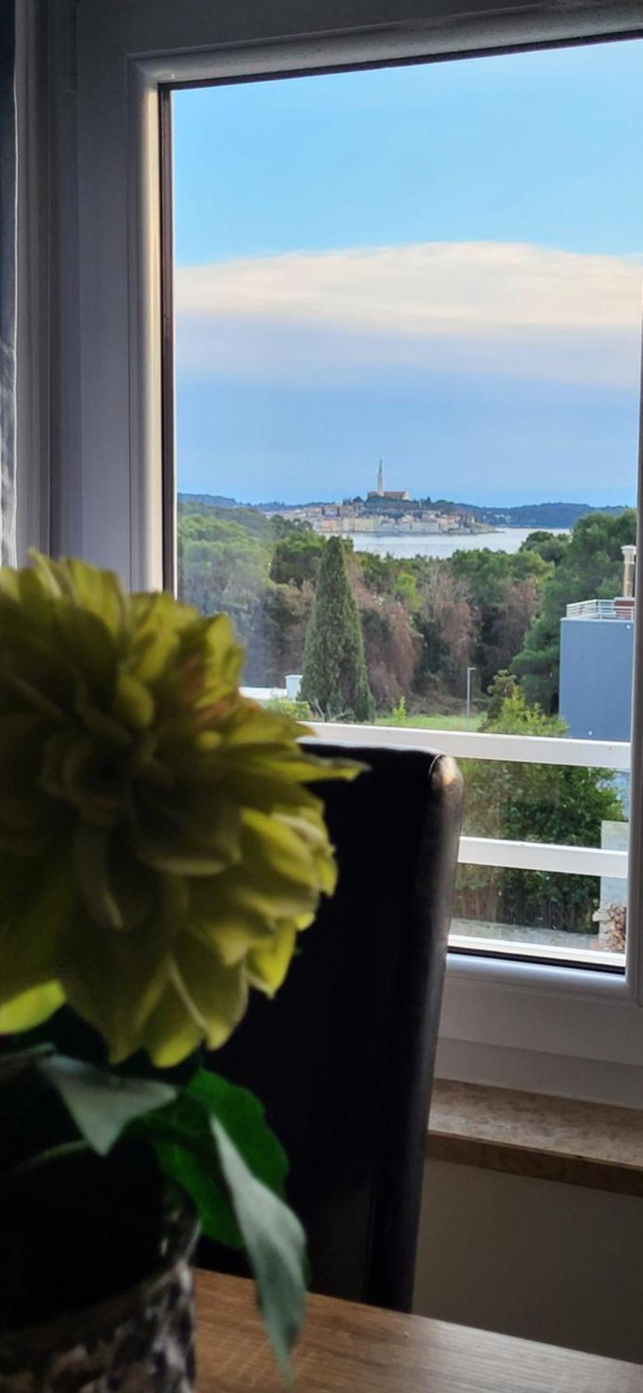 Villa Salvia Rooms And Apartments Rovinj Exterior photo